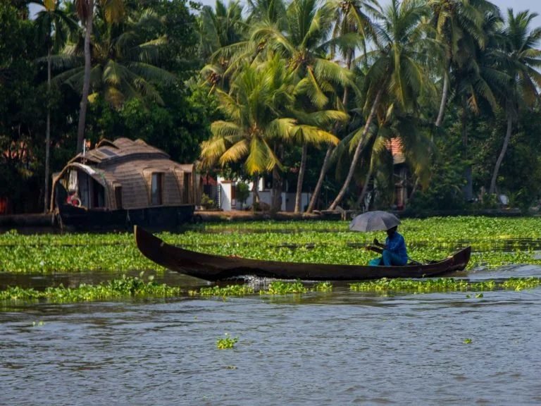 Kerala backwaters scenery evoking the setting of an authentic Kerala sadya