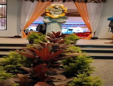 Wedding stage decorated with plants and greenery